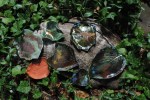 raku leaves 009